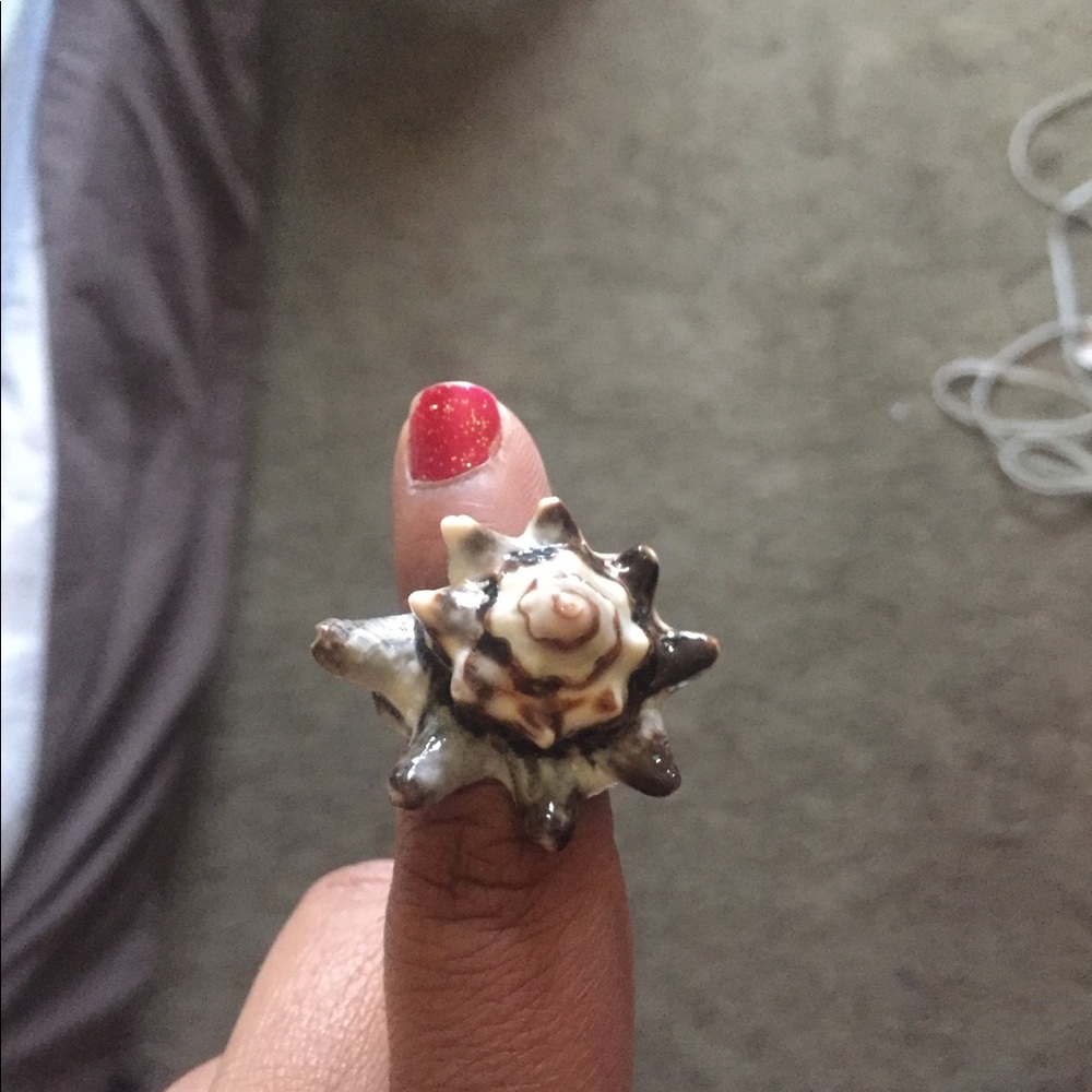 Conq shell ring